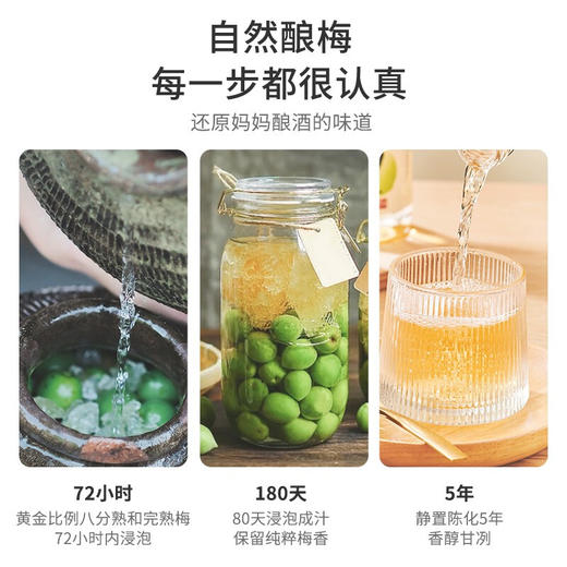 建发酒业 梅花乡微醺低度青梅酒 岁幸青梅酒 果香浓郁12度375ml 单瓶 商品图3