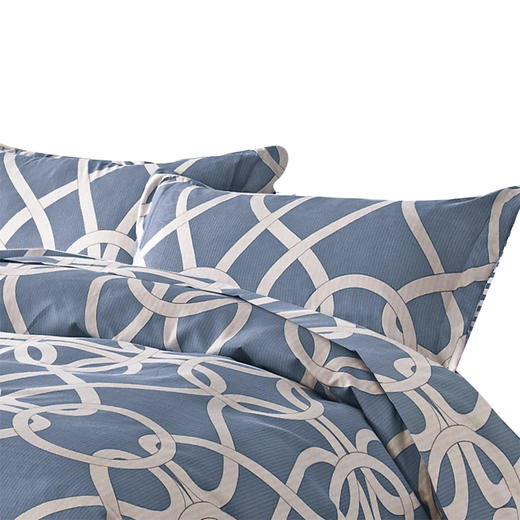 芳恩 生态长绒棉四件套 FN-Z552 商品图11