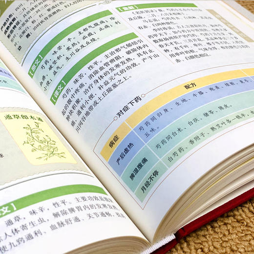 【心如健】精装彩图神农本草经彩图版 布面精装原著原版珍藏版现代家庭养生指导中医养生入门日常食疗食养图书书籍中医药学典藏 商品图3