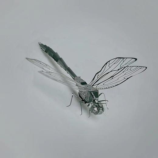 无聊了拼个金属蜻蜓!金属拼装玩具 动手益智组装玩具模型国庆清明出游 商品图0