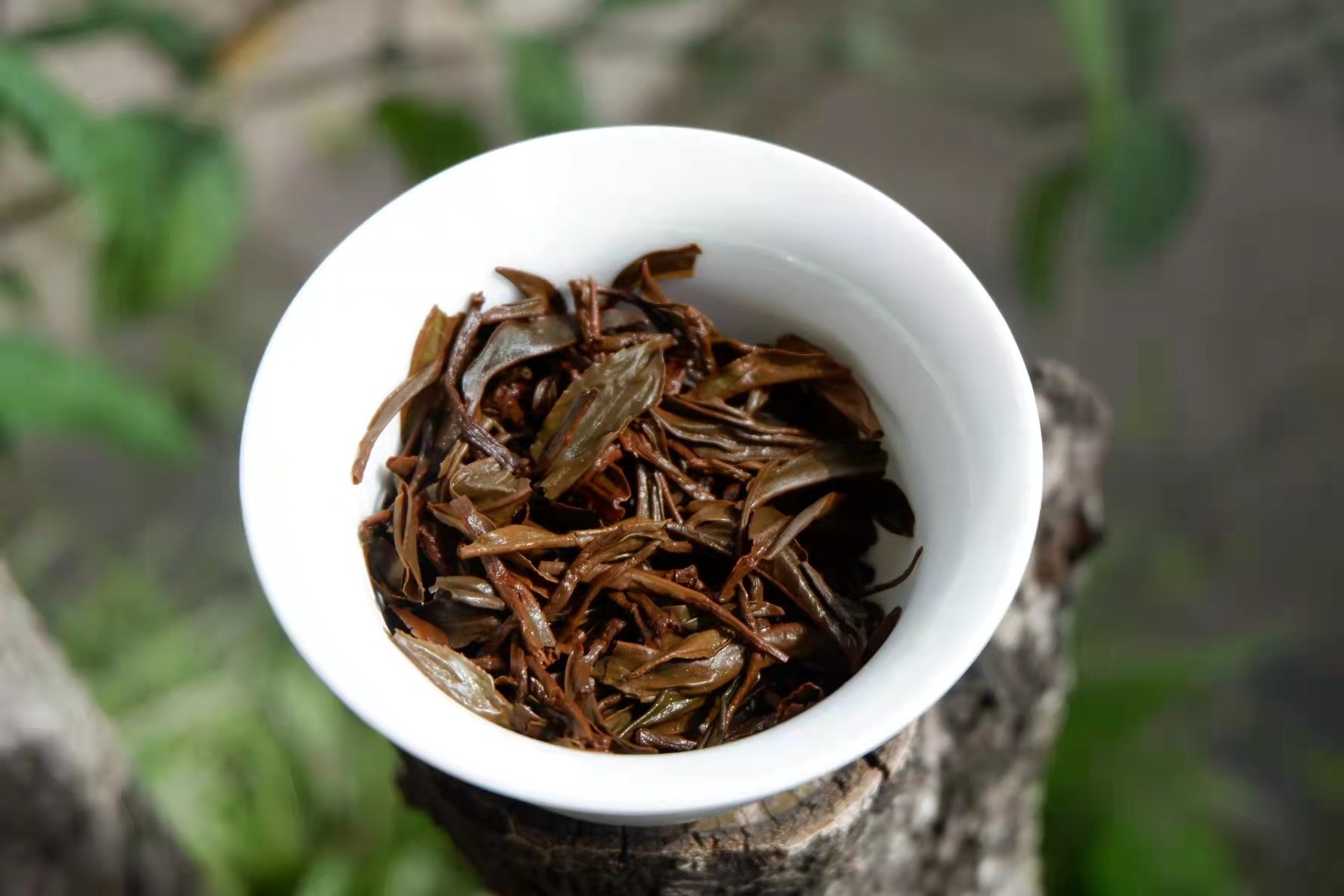 野生红茶 桐木正山小种 生态野茶,自然清新