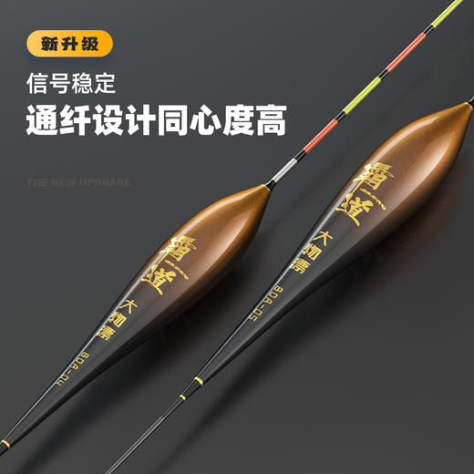佳钓尼大物漂加粗醒目浮漂黑坑防爆远投加长硬尾青鱼鲢鳙高灵敏漂 商品图1