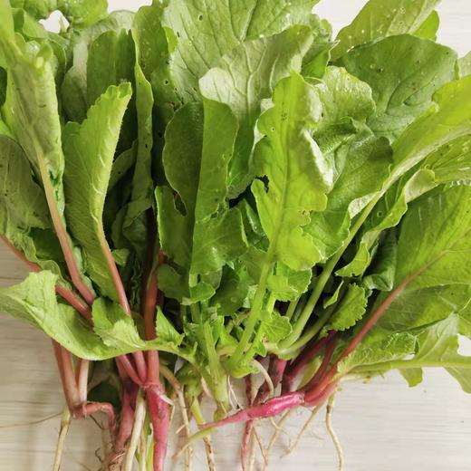 小萝卜菜一斤（拼团） 商品图0