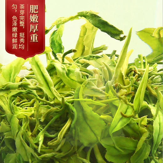 【食品酒水】-明前高山云雾绿茶 早春新茶炒青日照绿茶 散装500g 商品图0