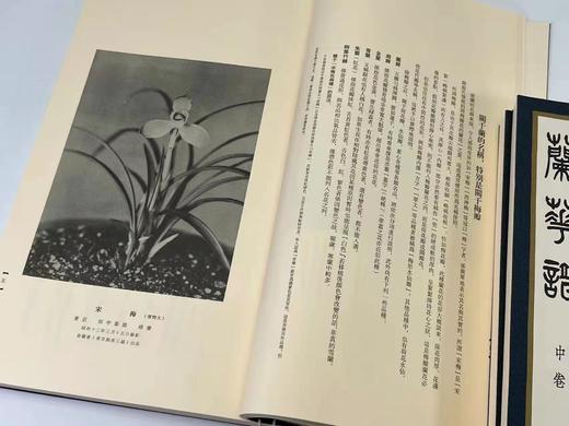 2022年3月29日NO.4《兰华谱》，翻译复刻本，仅印300套

《兰华谱》，小原荣次郎编，大16开线装，一函三厚册，仅印300套，净重4.4公斤，西泠印社2020年12月一版一印。 商品图7