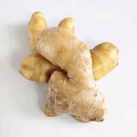 生姜  约500g 【BC】【WNX】