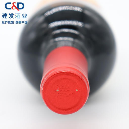【双支享礼盒装】建发酒业 智利原瓶进口红酒 莫堡蔻年赤霞珠干红葡萄酒CL198 单支 商品图4