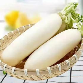 白萝卜  约625g 【BC】【WNX】