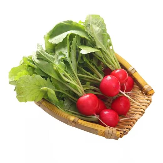 红丁一斤（拼团） 商品图2