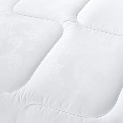 富安娜 莱恩抗菌四季被 商品图4