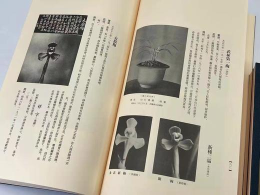 2022年3月29日NO.4《兰华谱》，翻译复刻本，仅印300套

《兰华谱》，小原荣次郎编，大16开线装，一函三厚册，仅印300套，净重4.4公斤，西泠印社2020年12月一版一印。 商品图11