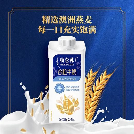 蒙牛特仑苏谷粒250ml 商品图2