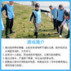 勇闯雷区拓展团建游戏道具户外团队活动仿真塑料手雷趣味运动器材 商品缩略图3