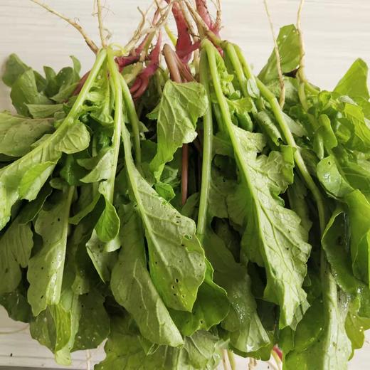 小萝卜菜一斤（拼团） 商品图2