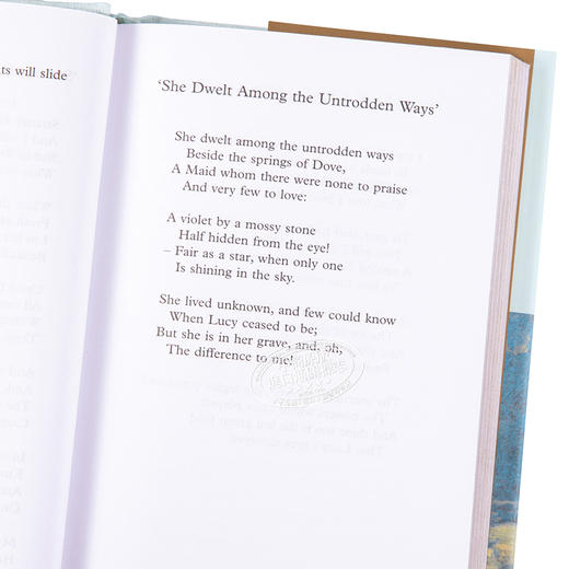 预售 【中商原版】Collectors Library系列：华兹华斯诗歌选集 英文原版 Selected Poems 威廉·华兹华斯 William Wordsworth 商品图3