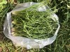 婆婆丁一斤（拼团） 商品缩略图1