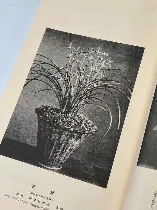 2022年3月29日NO.4《兰华谱》，翻译复刻本，仅印300套

《兰华谱》，小原荣次郎编，大16开线装，一函三厚册，仅印300套，净重4.4公斤，西泠印社2020年12月一版一印。 商品图9