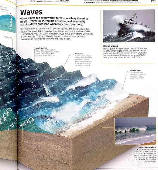 【中商原版】DK知识百科：海洋！ 英文原版 Knowledge Encyclopedia：Ocean! DK 商品图7