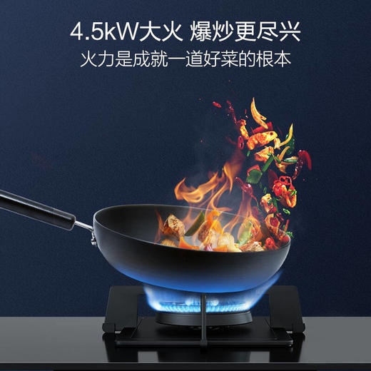 A.O.史密斯大火力燃气灶JZT-V2B1 商品图2