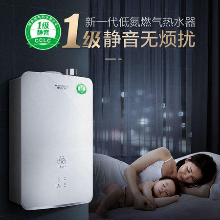 A.O.史密斯燃气热水器JSQ31-LN 商品图0