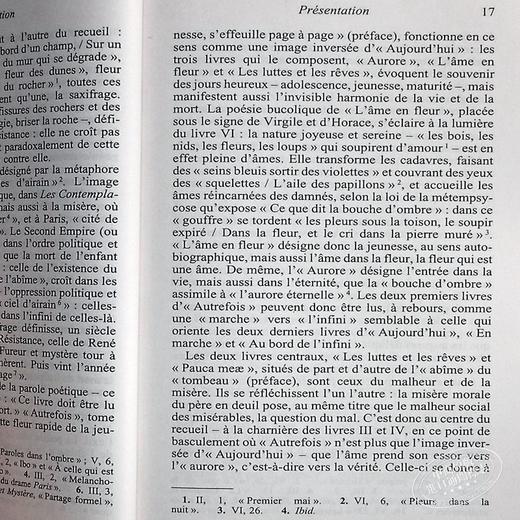 【中商原版】【法国法文版】雨果：静观集 法文原版 Les Contemplations Victor Hugo 雨果诗集 经典文学书籍 商品图5
