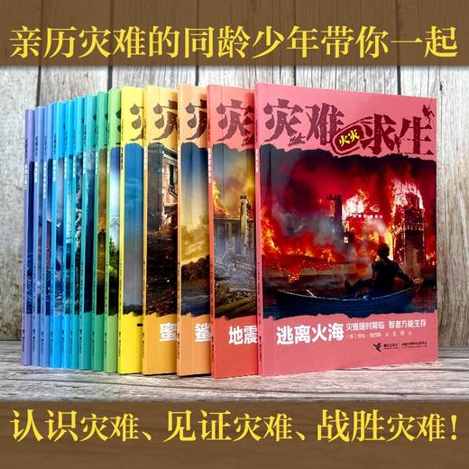 灾难求生.海啸奇迹 商品图1