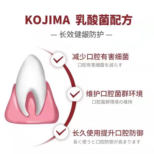 日本KOJIMA宠物牙齿专业护理 乳酸菌牙膏 360°牙刷 轻柔指套 温和去渍 商品图3