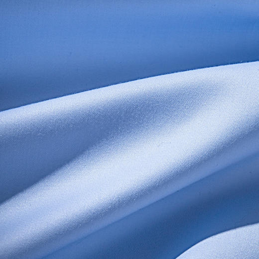 【纯棉DP免烫】罗蒙春夏女装长袖衬衫女士正装商务通勤百搭抗皱衬衣 商品图6