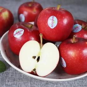 啦啦啦······小虫家上新水果啦