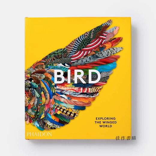 Bird: Exploring the Winged World/鸟：探索有翼的世界 商品图0