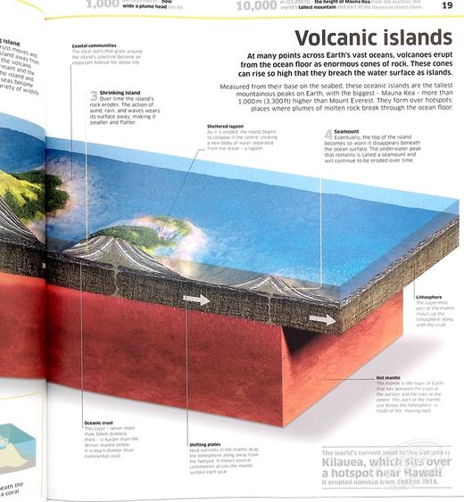 【中商原版】DK知识百科：海洋！ 英文原版 Knowledge Encyclopedia：Ocean! DK 商品图5