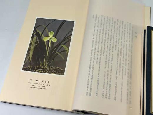 2022年3月29日NO.4《兰华谱》，翻译复刻本，仅印300套

《兰华谱》，小原荣次郎编，大16开线装，一函三厚册，仅印300套，净重4.4公斤，西泠印社2020年12月一版一印。 商品图5