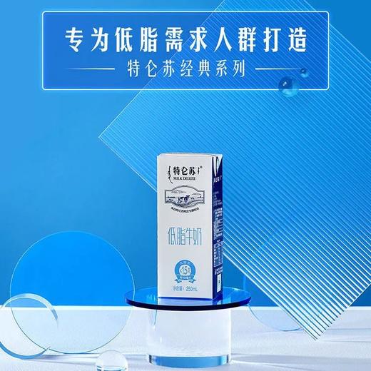 蒙牛特仑苏[低脂]250ml 商品图1