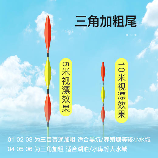 佳钓尼大物漂加粗醒目浮漂黑坑防爆远投加长硬尾青鱼鲢鳙高灵敏漂 商品图2
