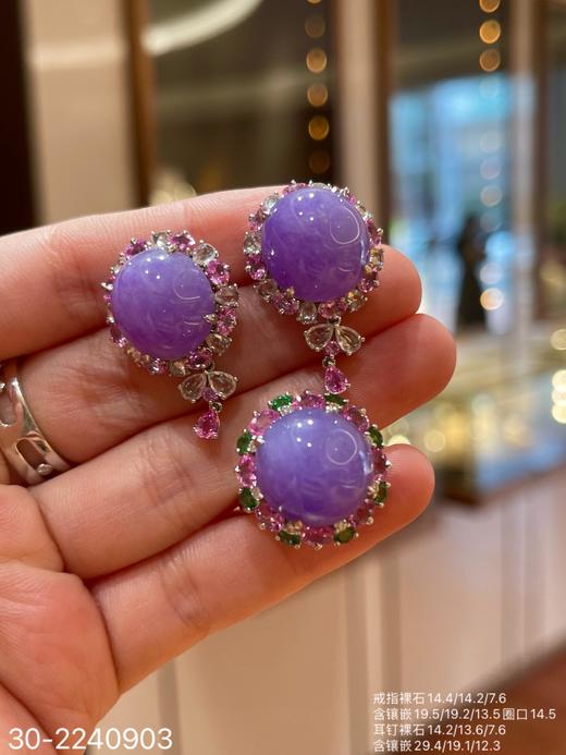 艳紫蛋面套装 【30-2240903】具体价格微信咨询 商品图0