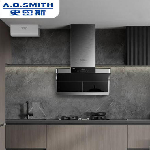 A.O.史密斯瀞油烟机CXW-200-S9 商品图0
