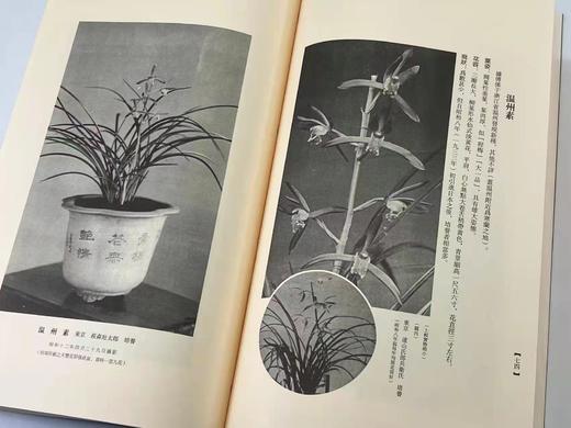 2022年3月29日NO.4《兰华谱》，翻译复刻本，仅印300套

《兰华谱》，小原荣次郎编，大16开线装，一函三厚册，仅印300套，净重4.4公斤，西泠印社2020年12月一版一印。 商品图14