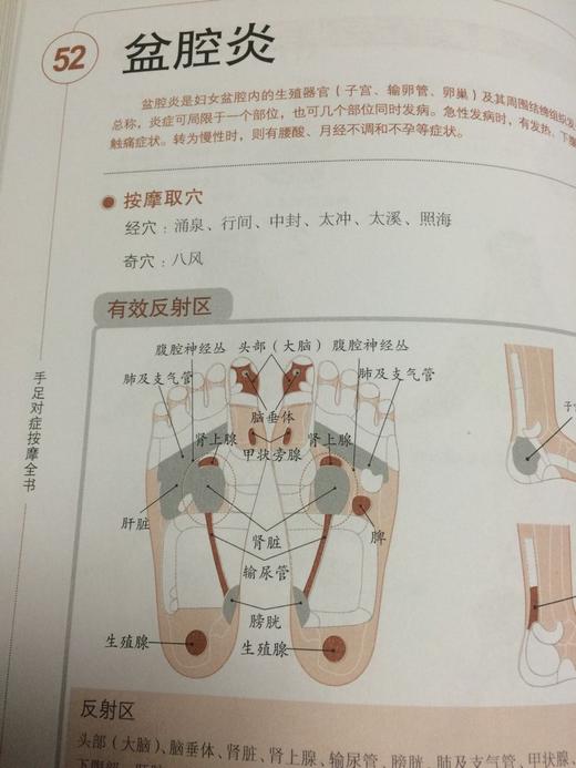 【心如健】正版包邮 手足对症按摩全书 实用的家庭常备健康宝典 按摩书籍 按摩书籍大全 图解 中医书籍 中医书籍大全 养生保健书籍ph 商品图2