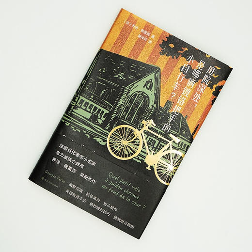 庭院深处 是哪辆镀铬把手的小自行车 乔治·佩雷克 著 小说 商品图2