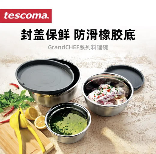 5F司顿国际生活馆tescoma料理盆20cm 商品图1