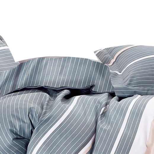 芳恩 生态长绒棉四件套 FN-Z552 商品图3