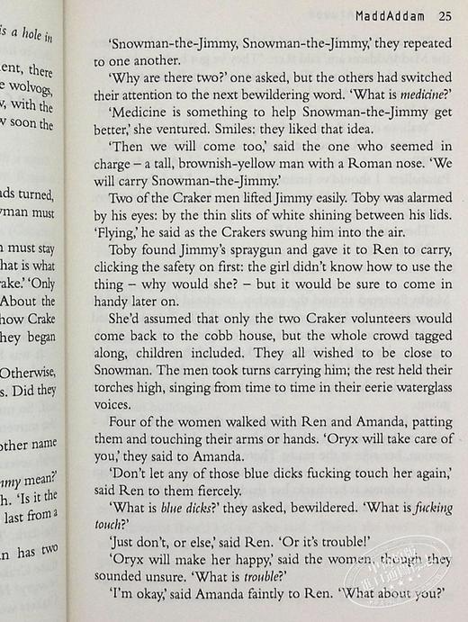 预售 【中商原版】玛格丽特.阿特伍德：疯狂亚当 英文原版 Maddaddam  Margaret Atwood  Virago 商品图7