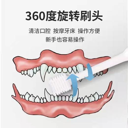 日本KOJIMA宠物牙齿专业护理 乳酸菌牙膏 360°牙刷 轻柔指套 温和去渍 商品图2