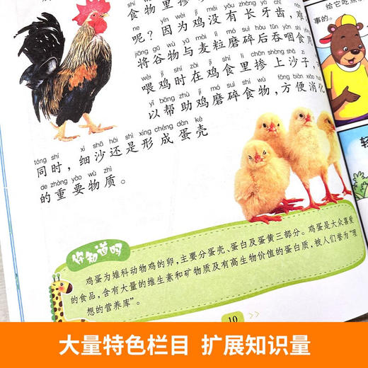 漫画版十万个小问号（全10册）礼盒装 彩图注音 有声伴读 商品图4