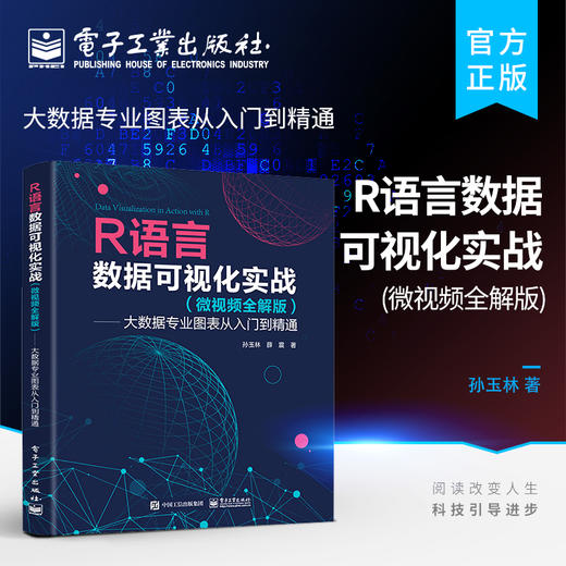 官方正版 R语言数据可视化实战 微视频全解版 大数据专业图表从入门到精通 常用的数据可视化方法及R语言应用包的使用方法讲解 商品图0