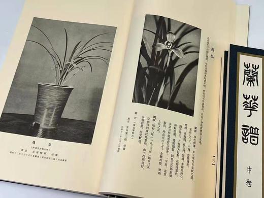 2022年3月29日NO.4《兰华谱》，翻译复刻本，仅印300套

《兰华谱》，小原荣次郎编，大16开线装，一函三厚册，仅印300套，净重4.4公斤，西泠印社2020年12月一版一印。 商品图8