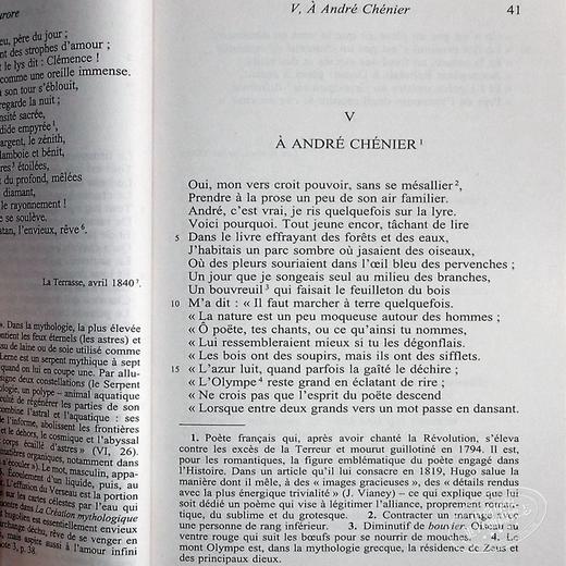 【中商原版】【法国法文版】雨果：静观集 法文原版 Les Contemplations Victor Hugo 雨果诗集 经典文学书籍 商品图7