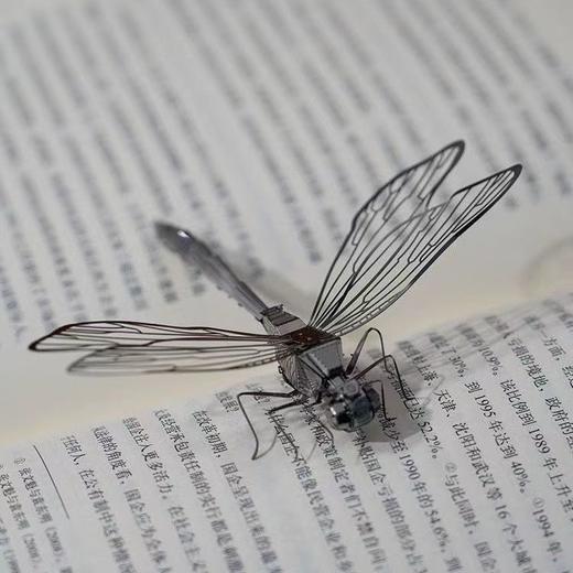 无聊了拼个金属蜻蜓!金属拼装玩具 动手益智组装玩具模型国庆清明出游 商品图2