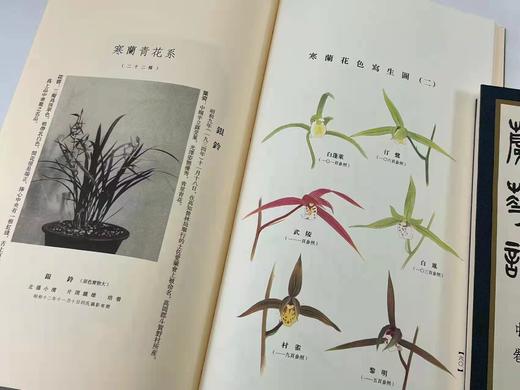 2022年3月29日NO.4《兰华谱》，翻译复刻本，仅印300套

《兰华谱》，小原荣次郎编，大16开线装，一函三厚册，仅印300套，净重4.4公斤，西泠印社2020年12月一版一印。 商品图13
