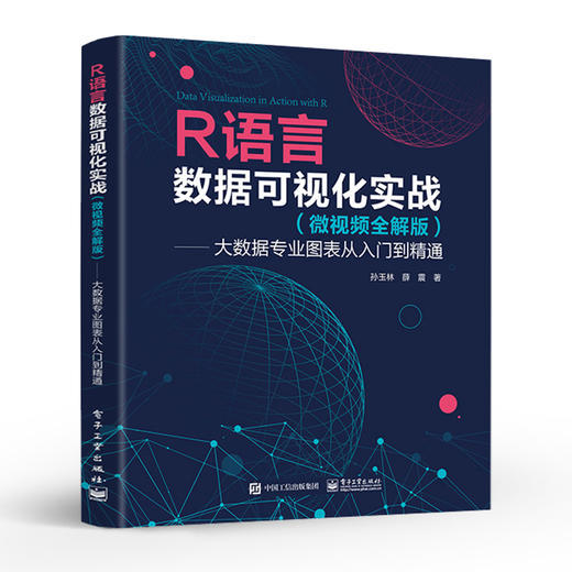 官方正版 R语言数据可视化实战 微视频全解版 大数据专业图表从入门到精通 常用的数据可视化方法及R语言应用包的使用方法讲解 商品图1